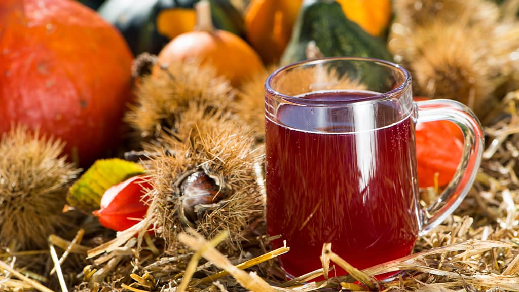 Das Bild zeigt das typische südsteirische Herbstgetränk namens Sturm. Im Hintergrund sieht man als Dekoration unter anderem Stroh und Kürbisse.